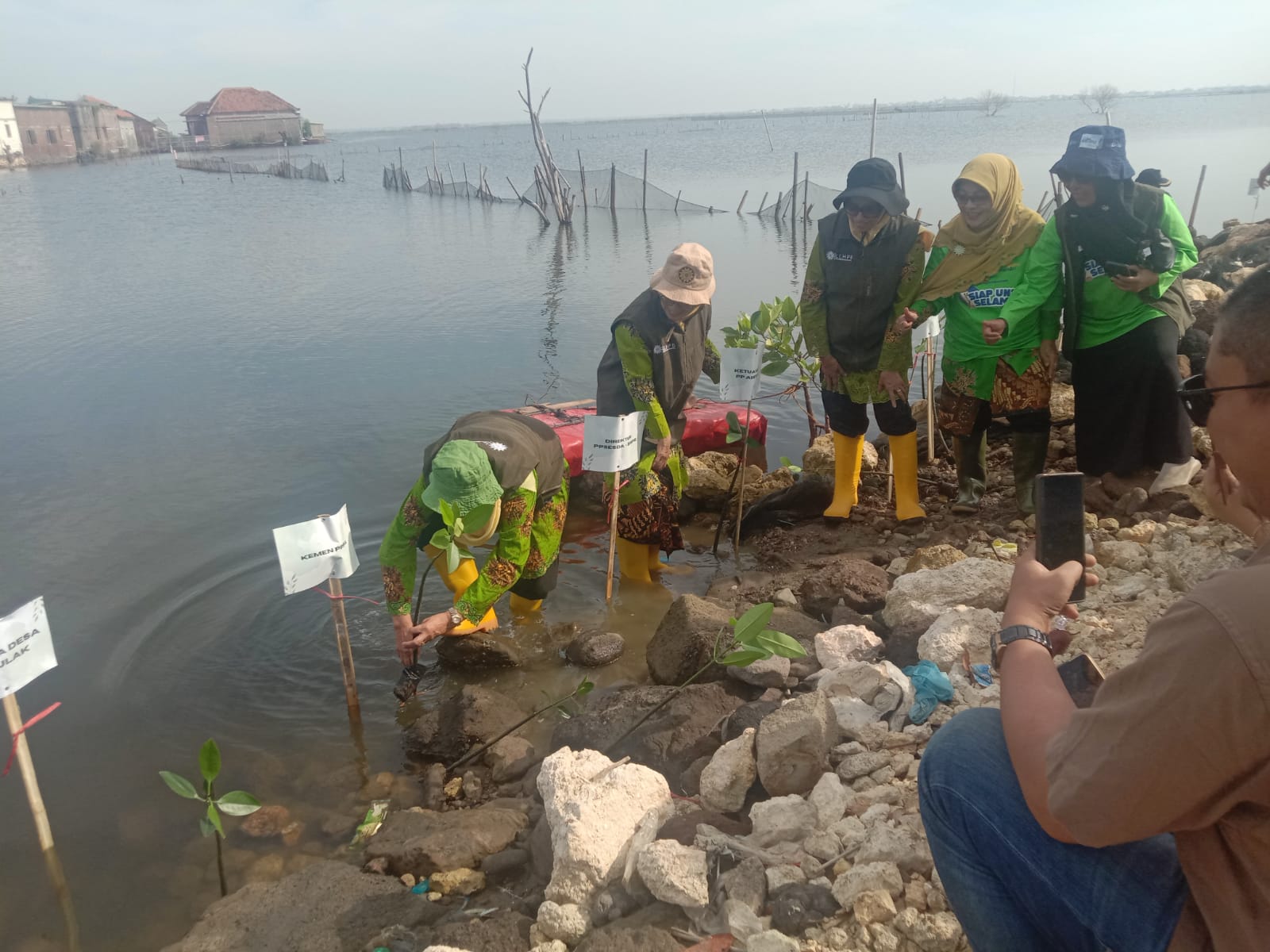 Cover HADAPI PERUBAHAN IKLIM, LLHPB PP AISYIYAH TANAM MANGROVE UNTUK PENGUATAN PEREMPUAN PESISIR