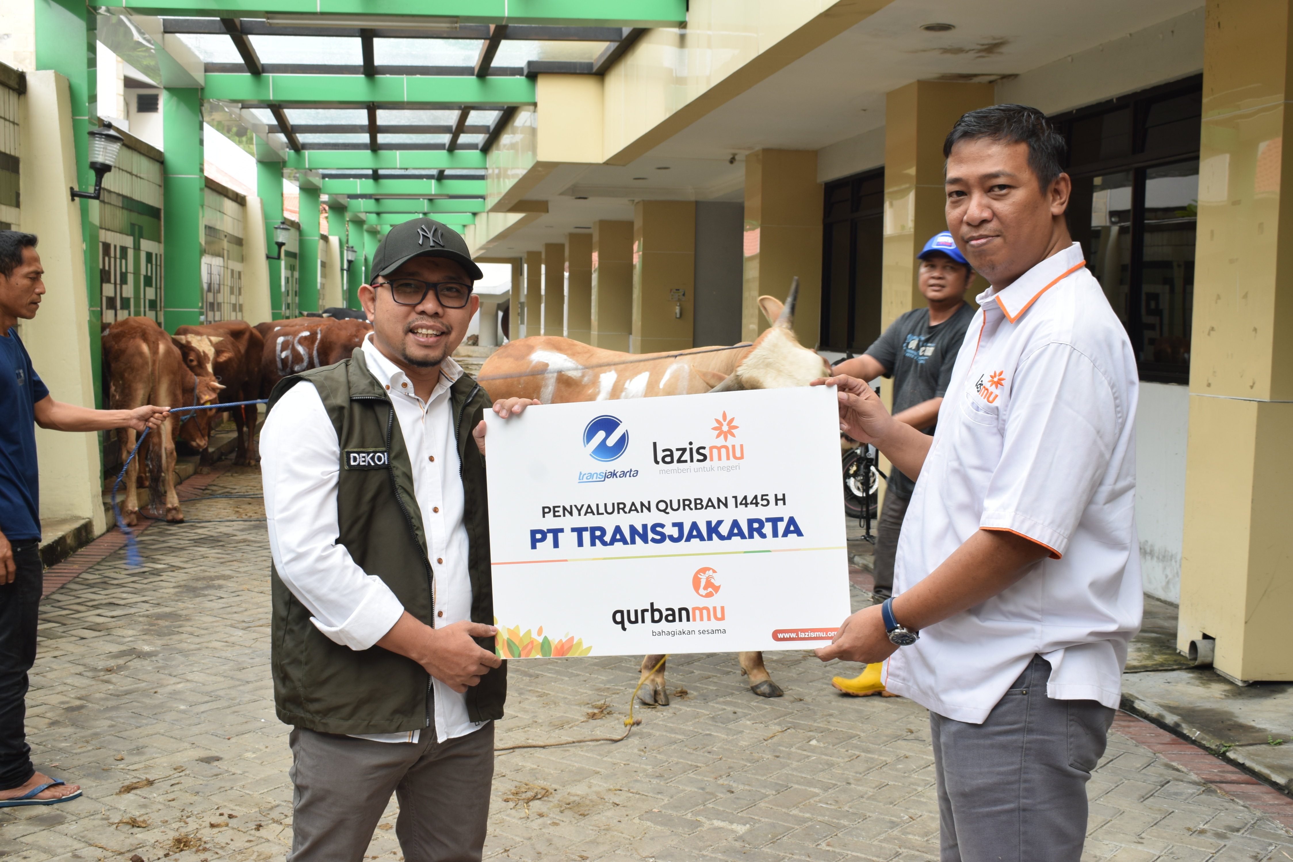 Cover Lazismu Terima Amanah Hewan Kurban dari Transjakarta, Lokasi 3T Kriteria Penyalurannya