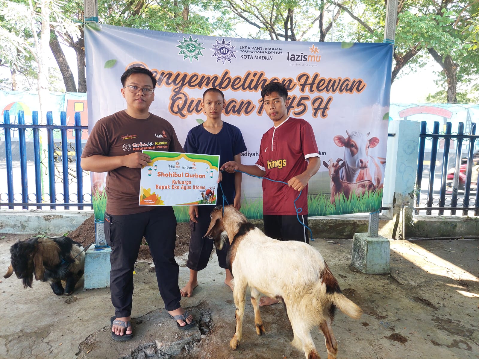 Cover LAZISMU SELENGGARAKAN KURBAN DI PANTI ASUHAN MUHAMMADIYAH MADIUN