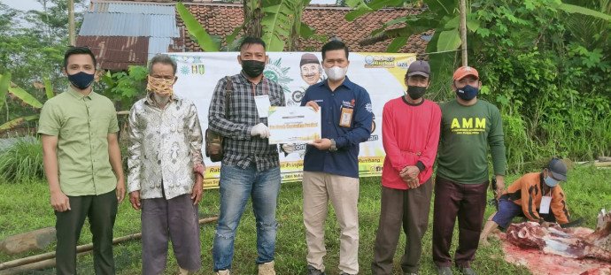 gelar-kurban-pak-kumis-lazismu-purbalingga-dapat-sapi-dari-bupati-purbalingga