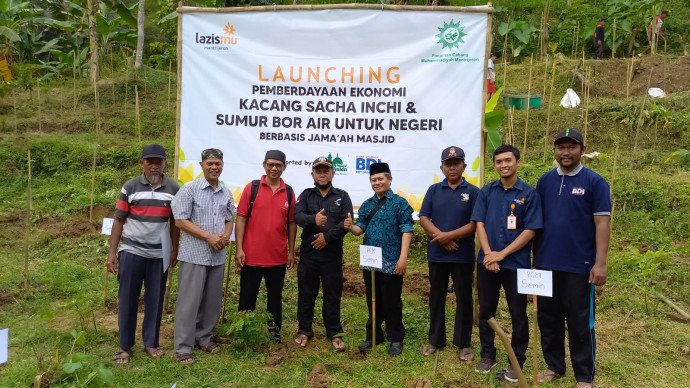 kacang-sacha-inchi-solusi-pemberdayaan-ekonomi-lazismu-untuk-lahan-wakaf